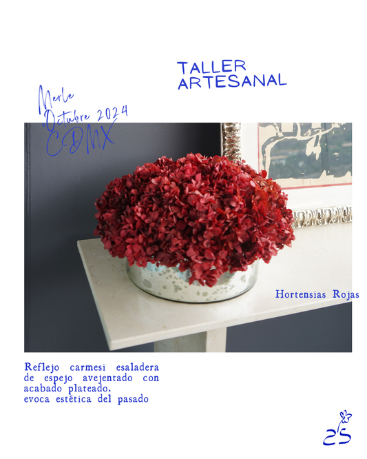 Reflejo Carmesí • CDMX