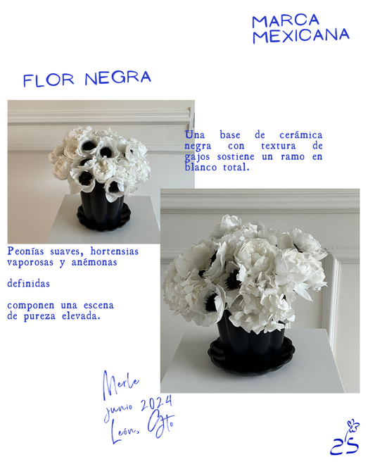 Flor Negra • León, Gto.