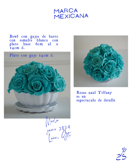 Rosa Tiffany • León, Gto.