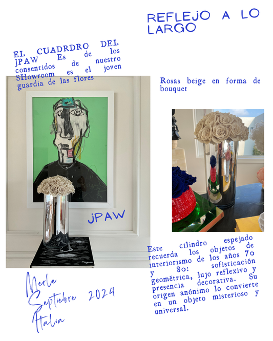 Reflejo Silente